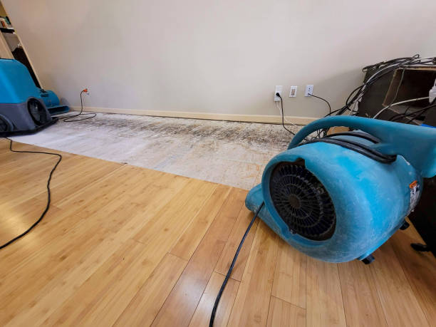 Professional Flood Damage Cleanup technician working in Leamington, UT